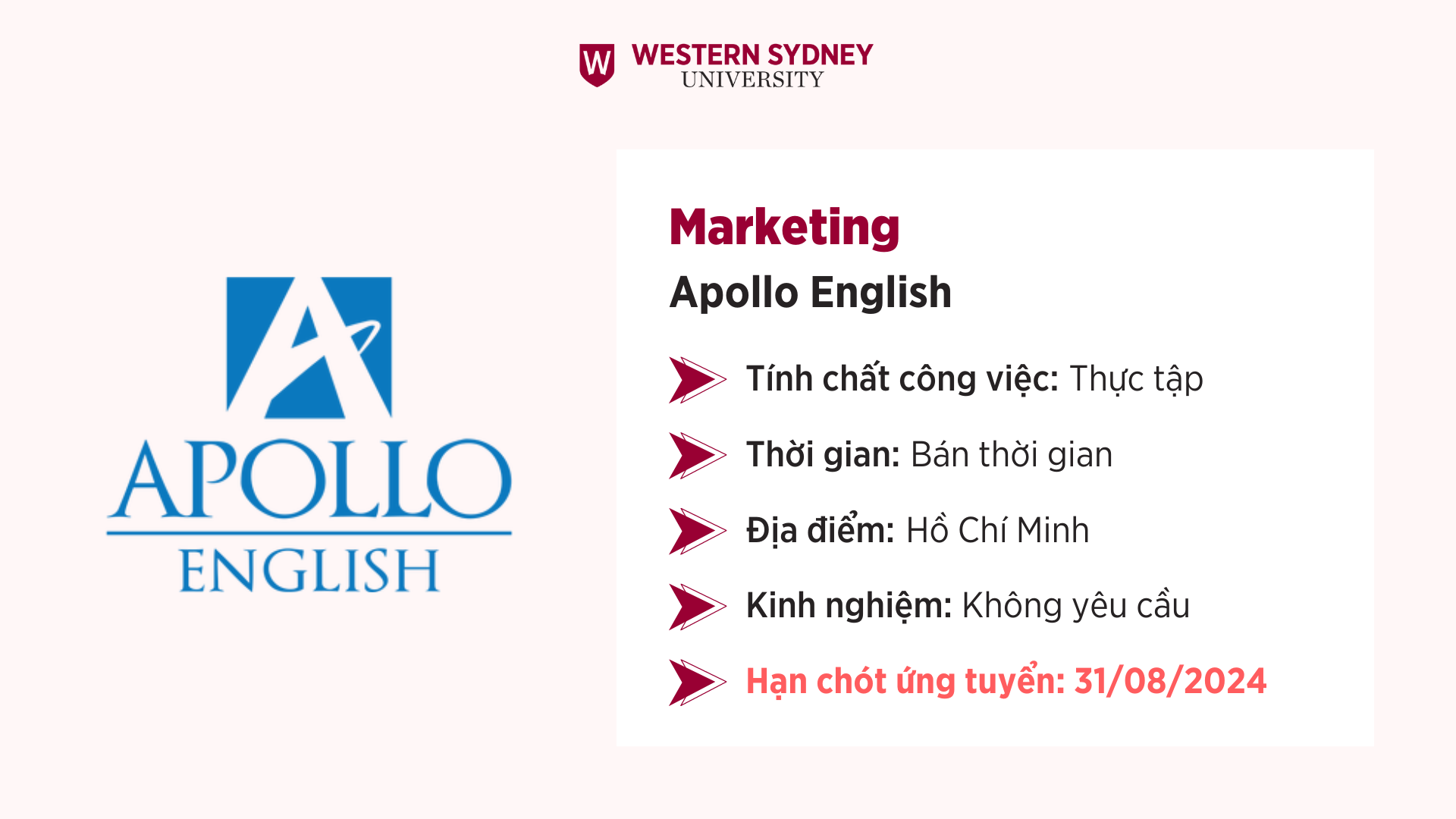 Thực tập sinh Marketing – Apollo English